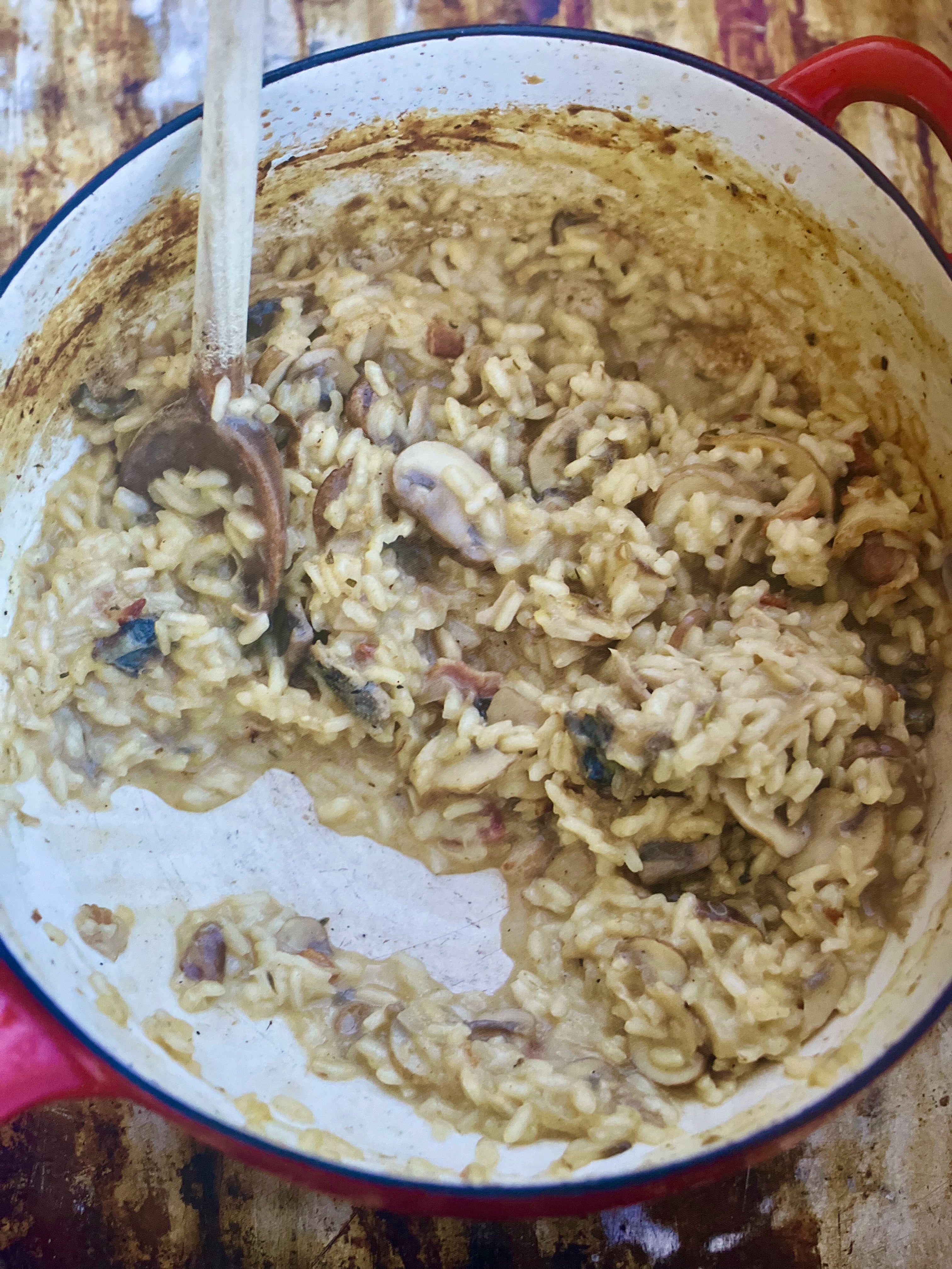 Bad Day Dove Risotto – The Pedernal Project