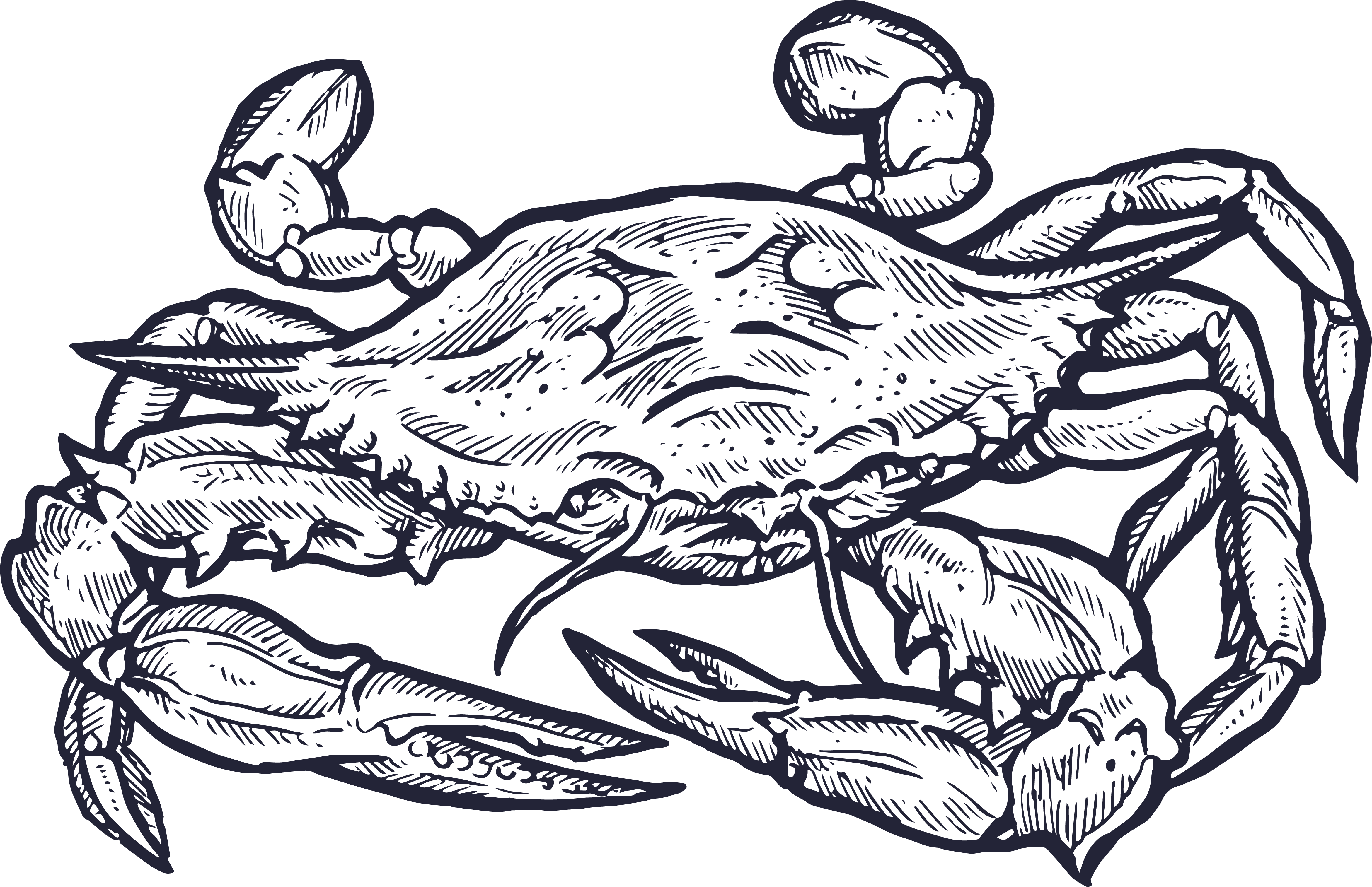 Crab Boil Seasoning – The Pedernal Project
